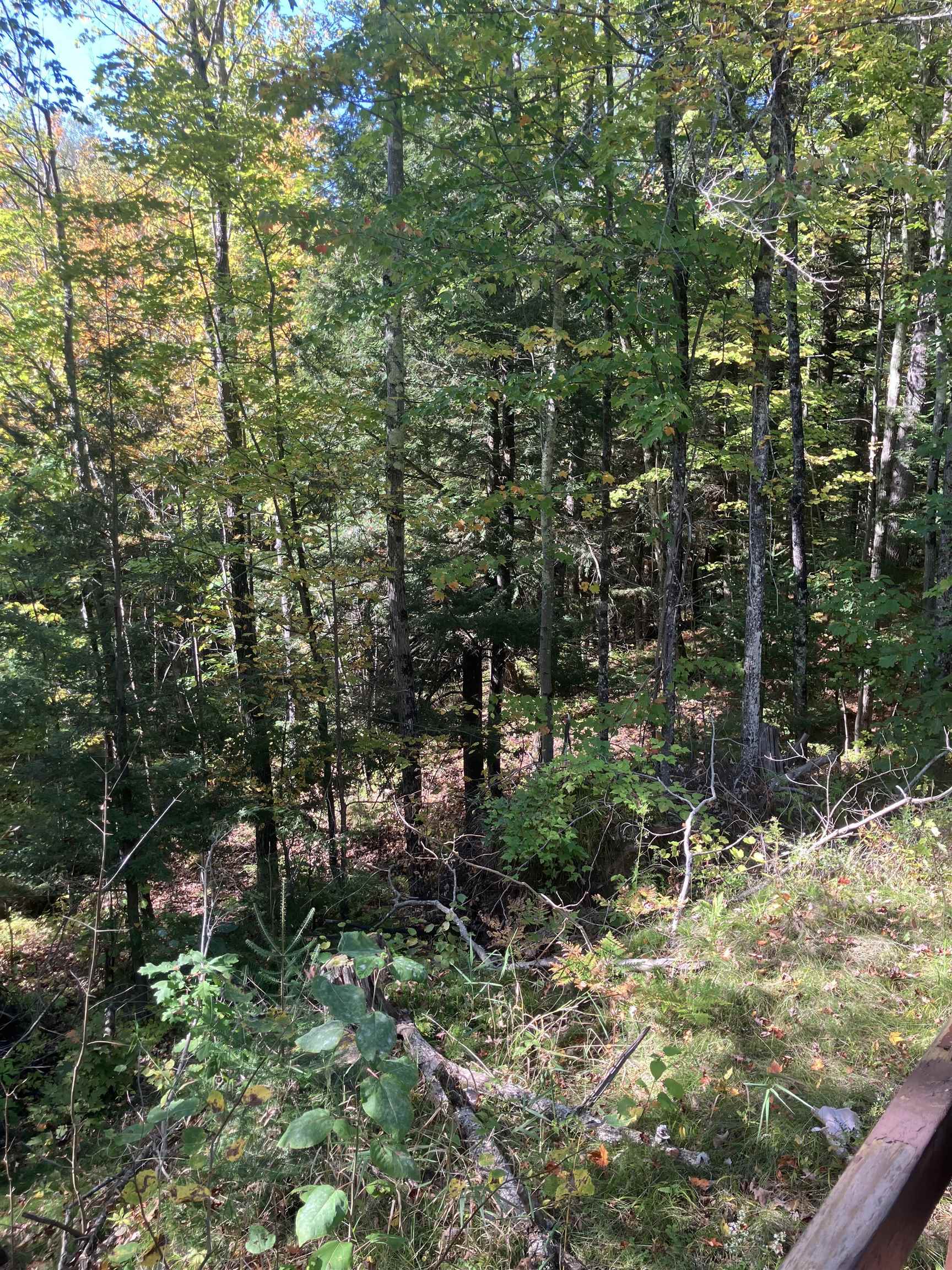 44890 Potato River Road Saxon, WI 54559 - Photo 10 of 16 View of nature