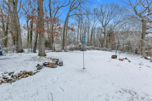 a view of a yard with snow