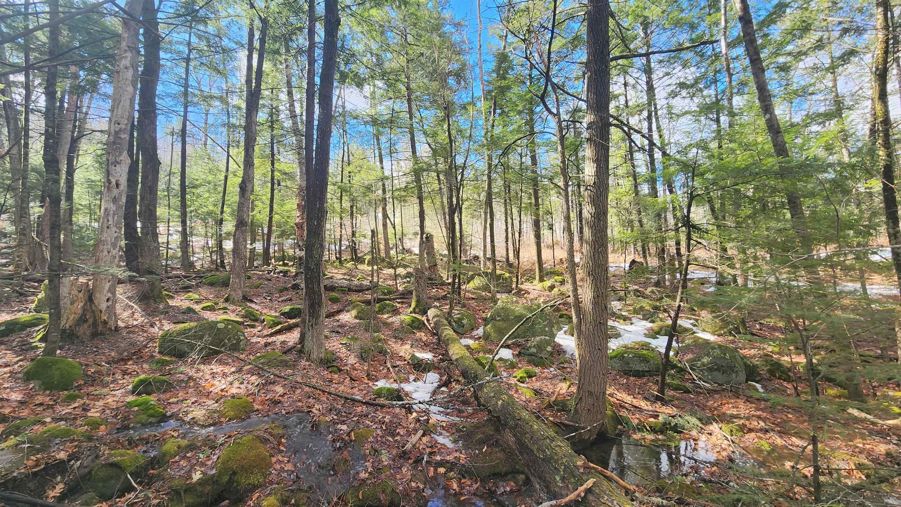 231 Valley Road New Durham, NH 03855 - Photo 15 of 19