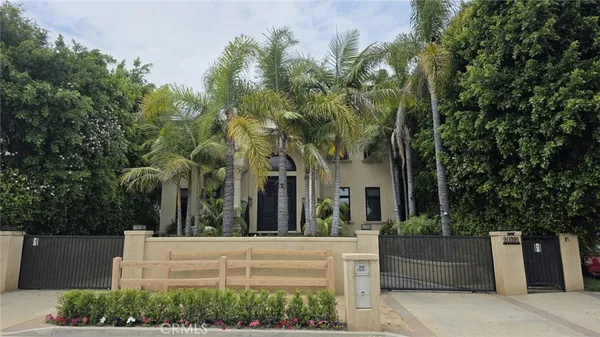 a view of a garden with plants