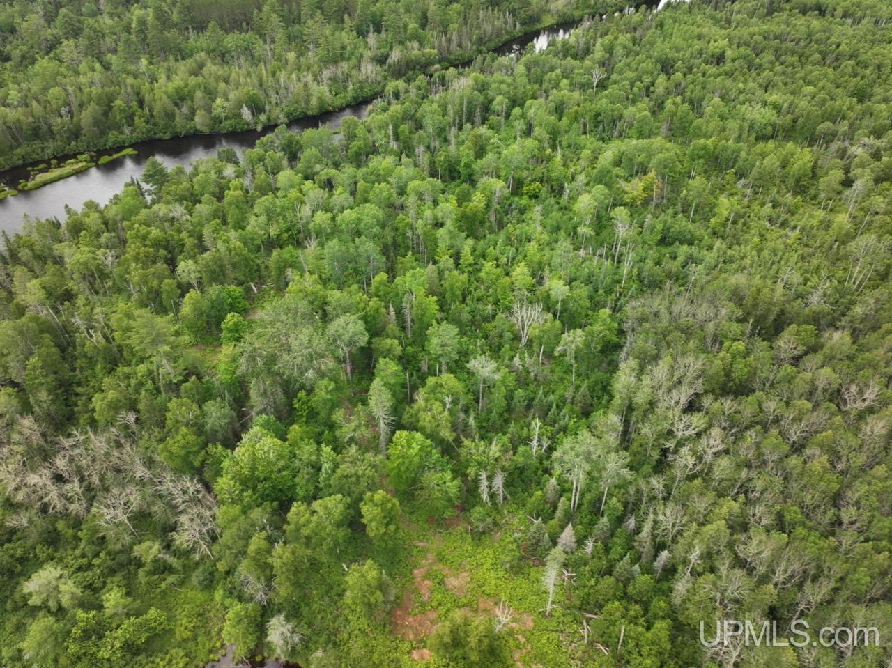 94-acres Off Bates Amasa Road Crystal Falls, MI 49920 - Photo 27 of 38