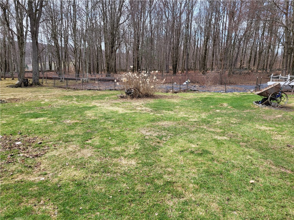 538 Ceresna Road Delhi, NY 13753 - Photo 33 of 33 front yard & garden