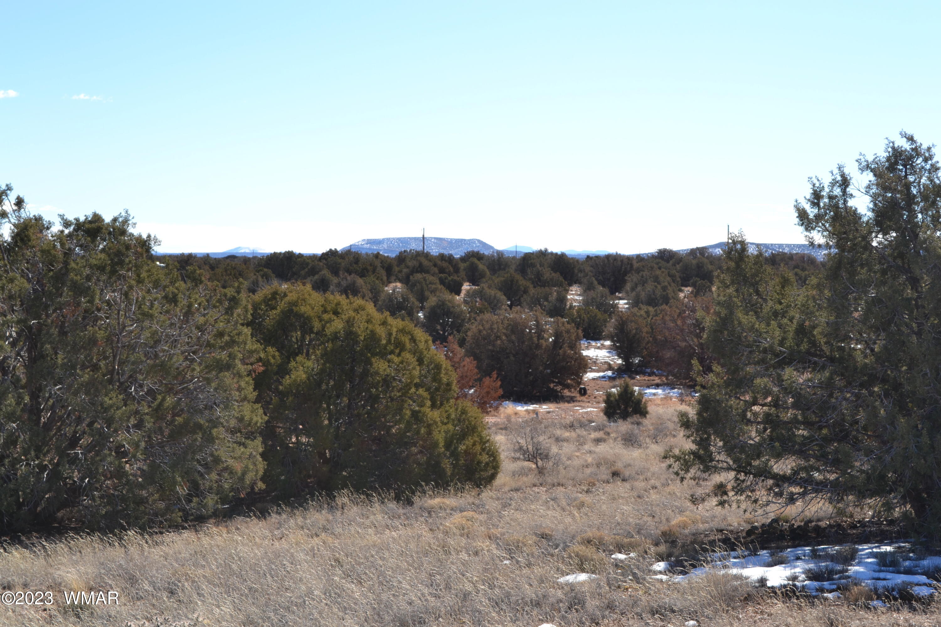 4440 Colt Road Snowflake, AZ 85937 - Photo 8 of 13 a view of a mountain in the distance in a field