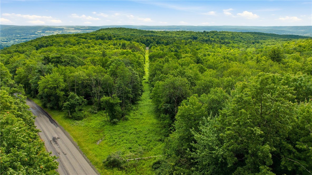 Dunn Road Pine Valley, NY 14872 - Photo 7 of 14