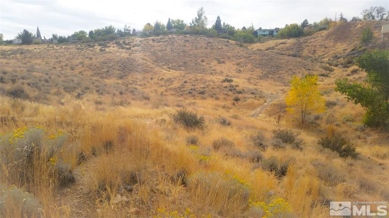 0 Corey Drive Reno, NV 89509 - Photo 5 of 8 a view of a dry yard