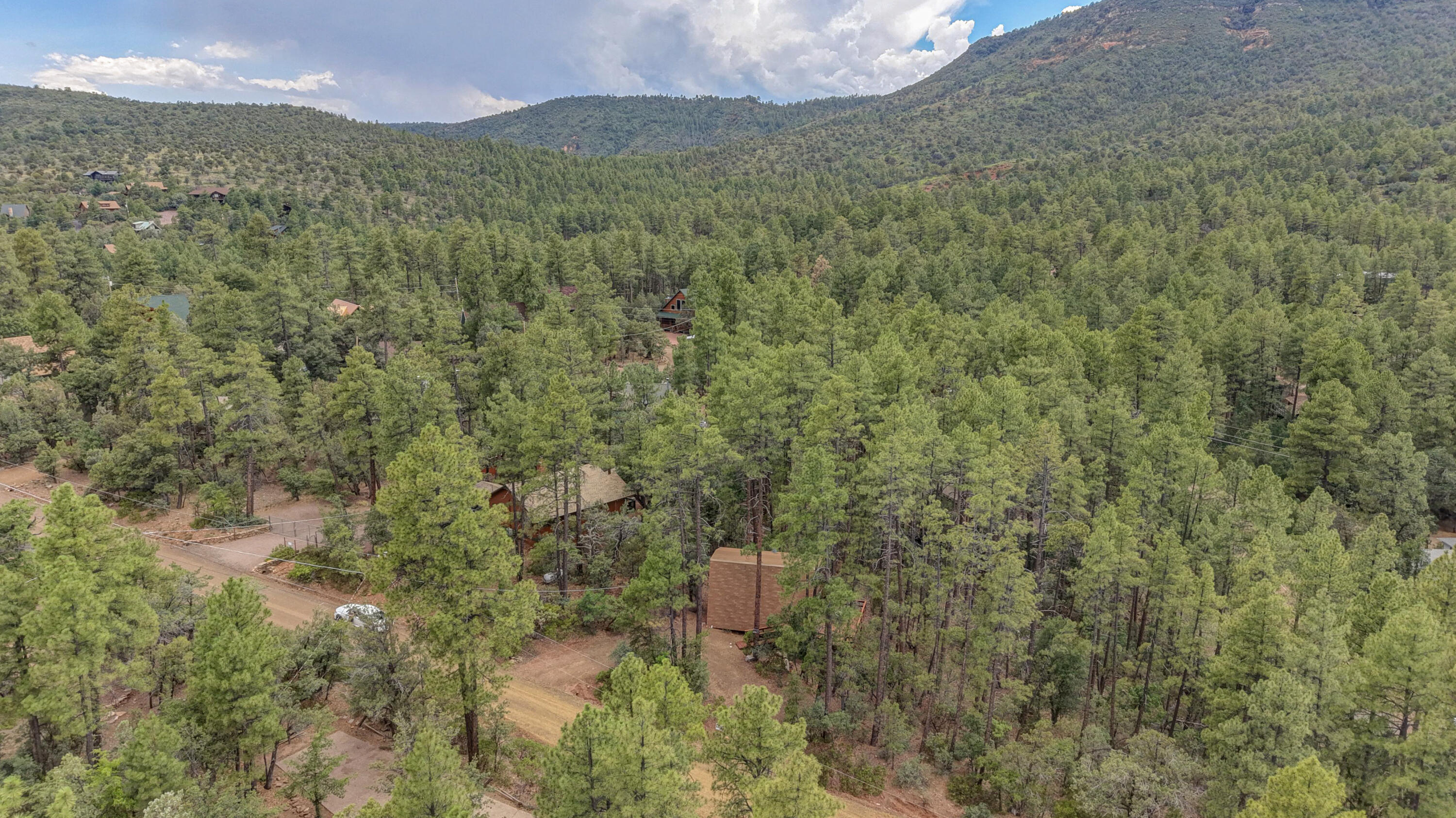 3290 Kysar Way Pine, AZ 85544 - Photo 23 of 24