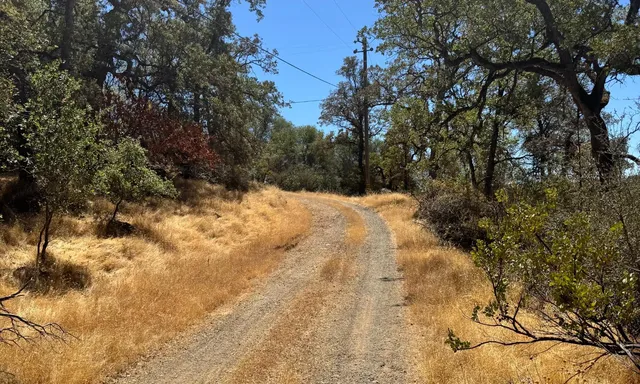 a view of side of snow with trees in the background