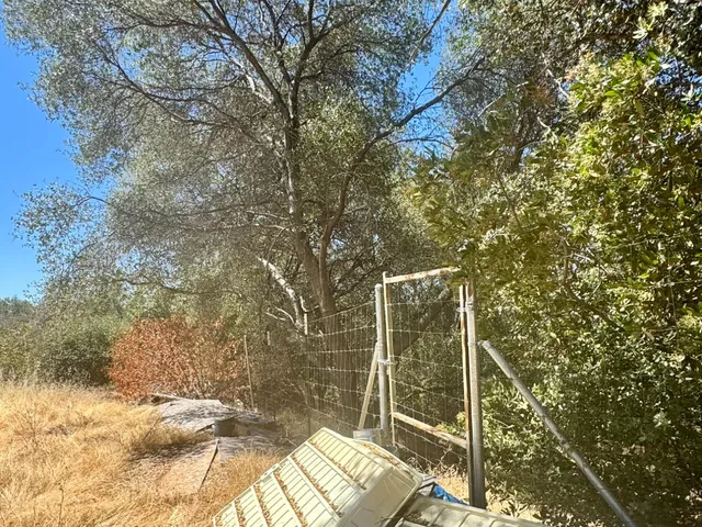 a backyard of a house with a large tree