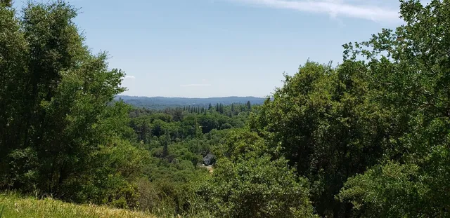 front view of a house