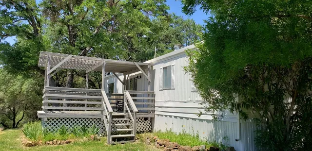a view of a tree in a yard