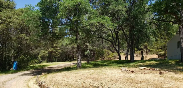 a view of a yard with a tree