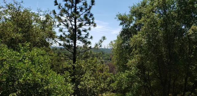 a front view of house with garden
