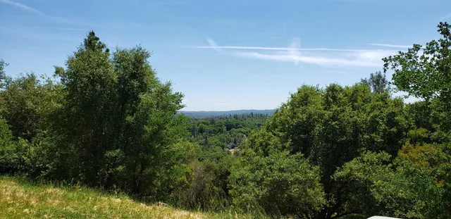 a view of a back yard of the house