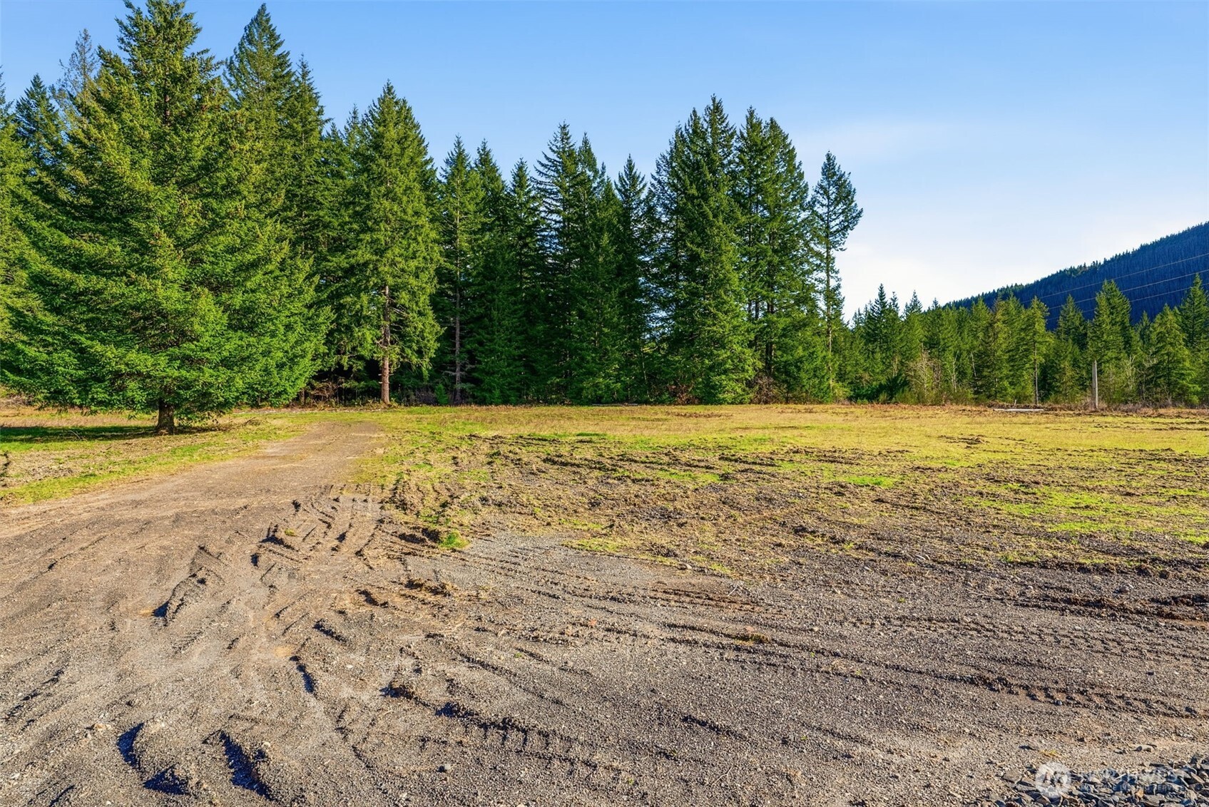 246 Windsock Road Ariel, WA 98603 - Photo 3 of 5 Gallery Image 3