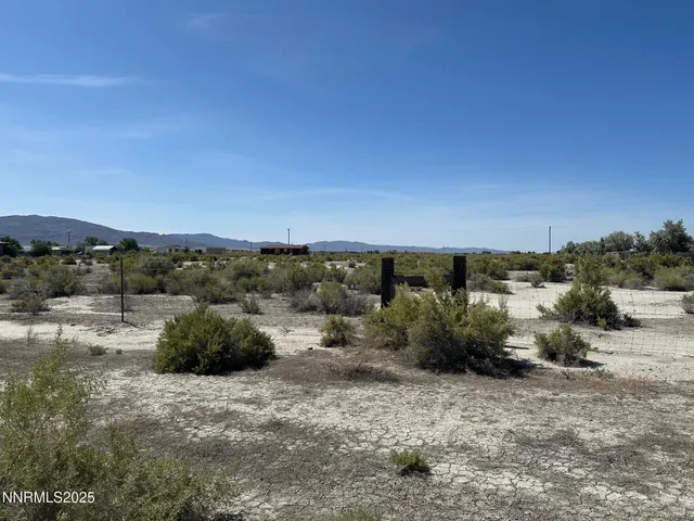 a view of a dry yard with trees