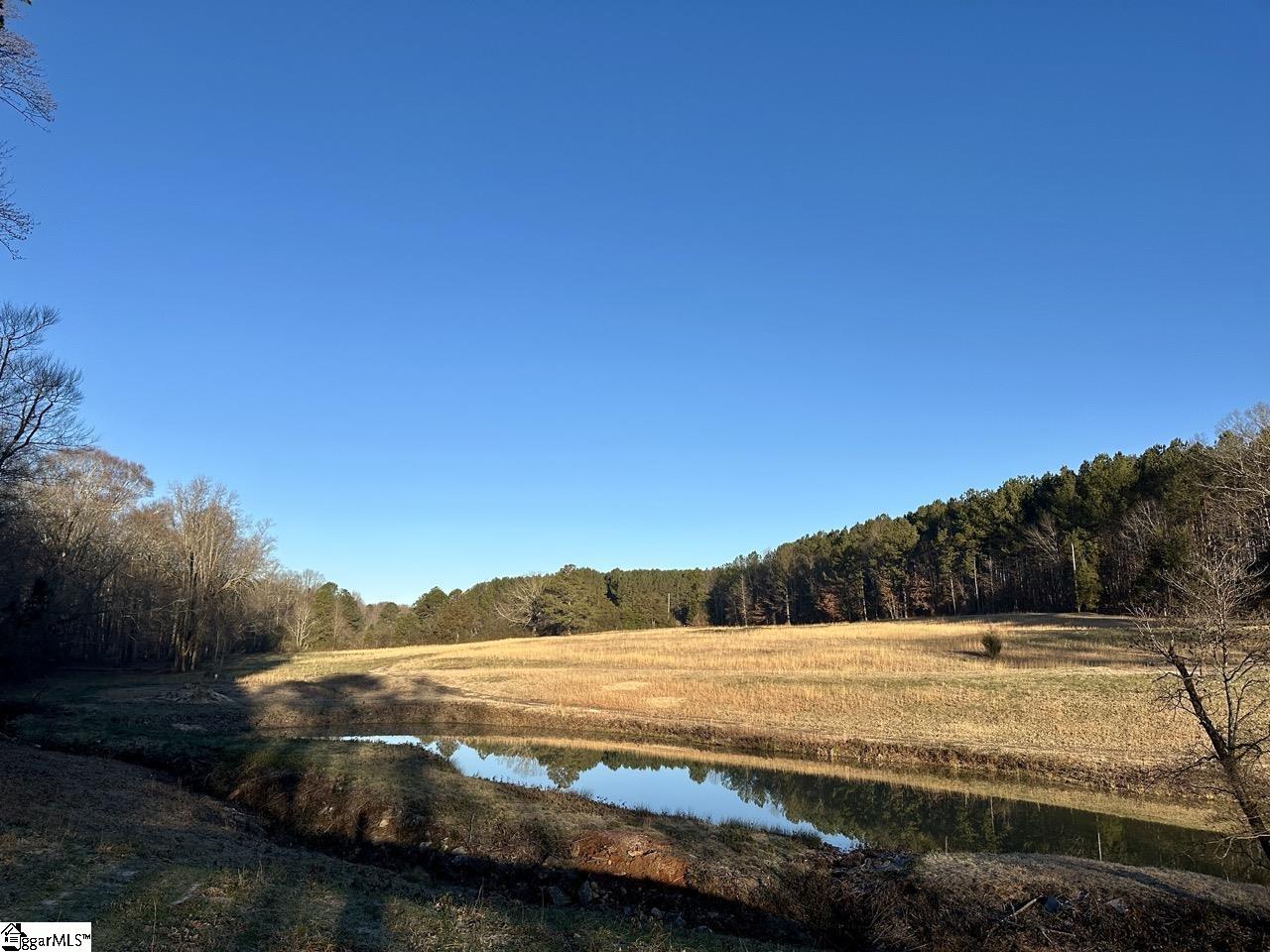 2539 28 / Blue Ridge Highway Walhalla, SC 29691 - Photo 16 of 48 Gallery Image 16