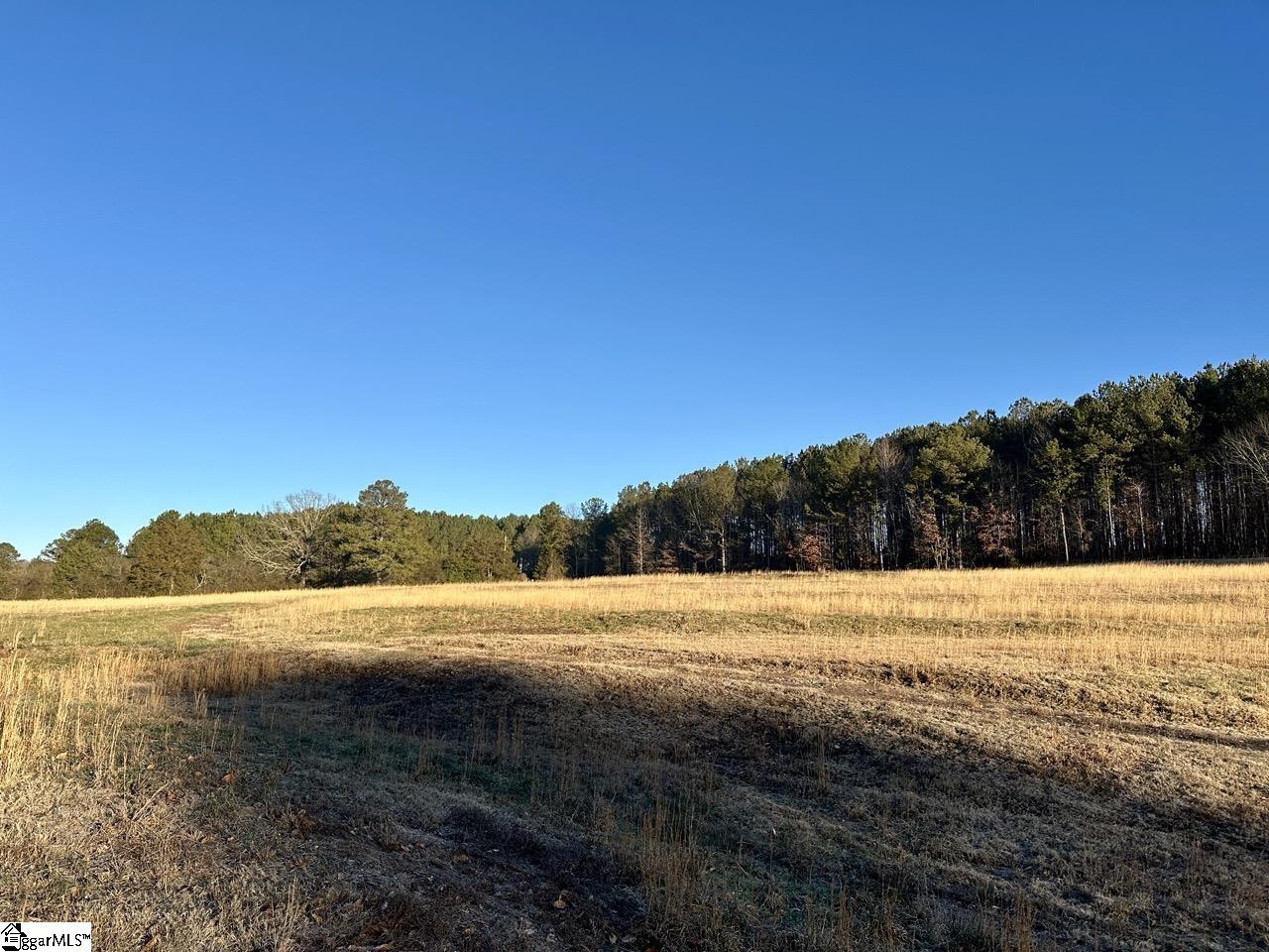2539 28 / Blue Ridge Highway Walhalla, SC 29691 - Photo 21 of 48 Gallery Image 21