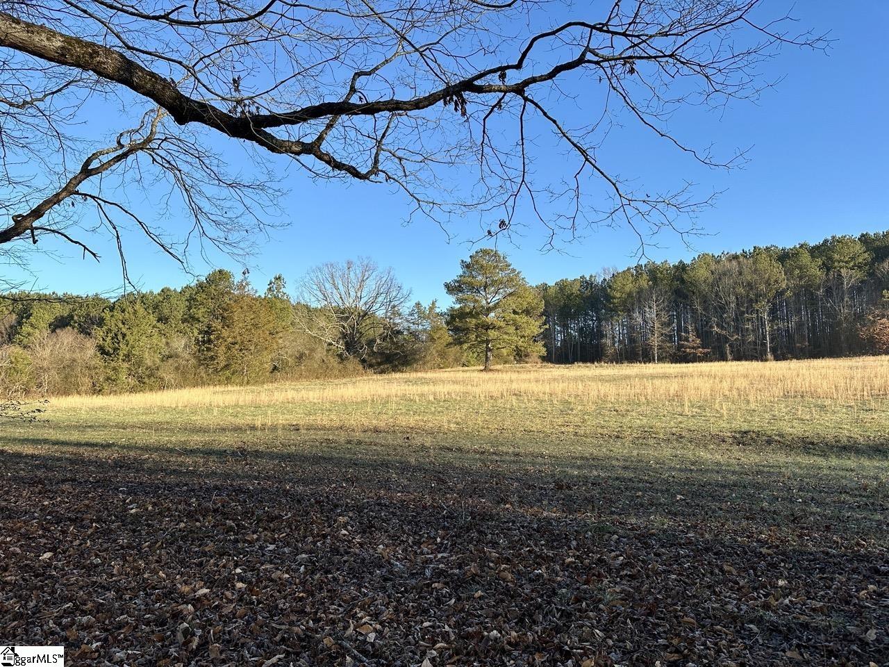 2539 28 / Blue Ridge Highway Walhalla, SC 29691 - Photo 24 of 48 Gallery Image 24