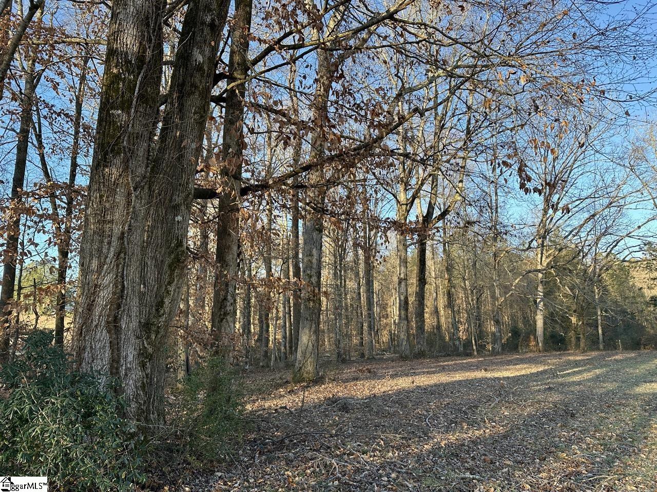 2539 28 / Blue Ridge Highway Walhalla, SC 29691 - Photo 26 of 48 Gallery Image 26