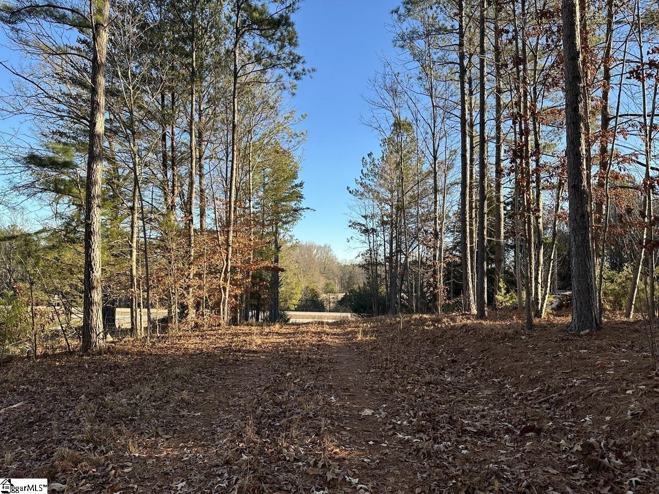 2539 28 / Blue Ridge Highway Walhalla, SC 29691 - Photo 33 of 48 Gallery Image 33
