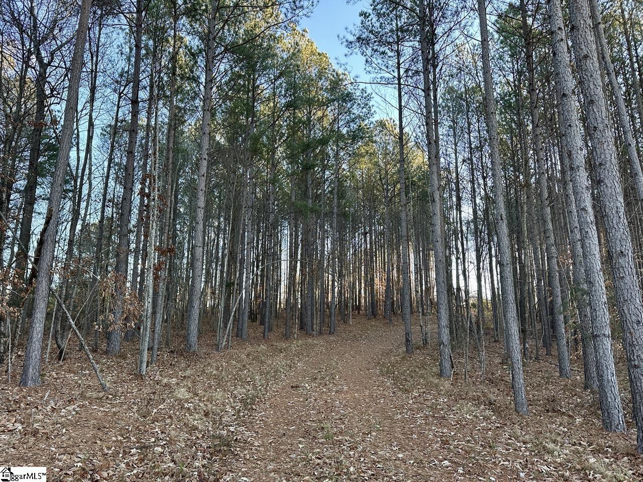 2539 28 / Blue Ridge Highway Walhalla, SC 29691 - Photo 35 of 48 Gallery Image 35