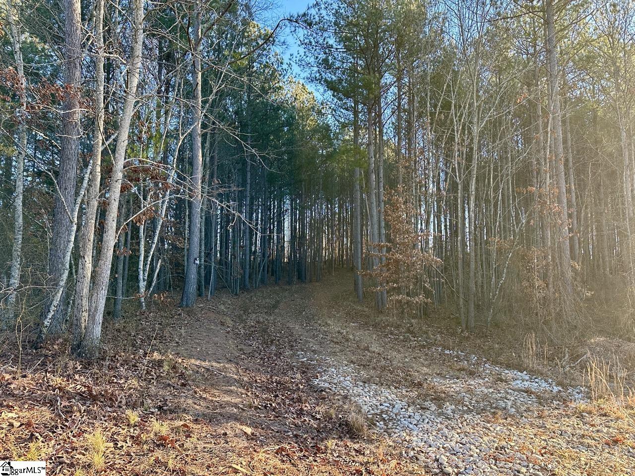 2539 28 / Blue Ridge Highway Walhalla, SC 29691 - Photo 36 of 48 Gallery Image 36