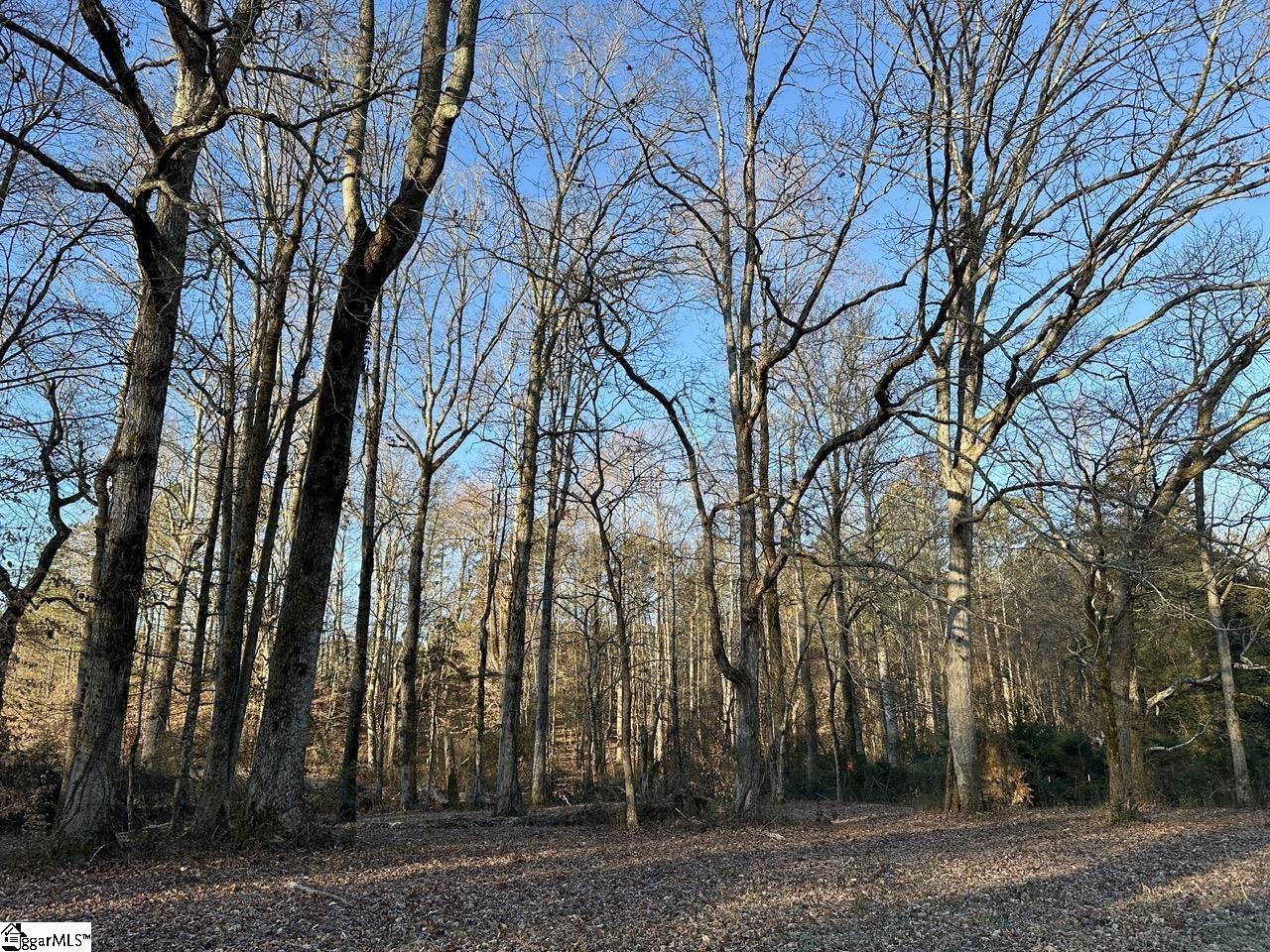 2539 28 / Blue Ridge Highway Walhalla, SC 29691 - Photo 39 of 48 Gallery Image 39