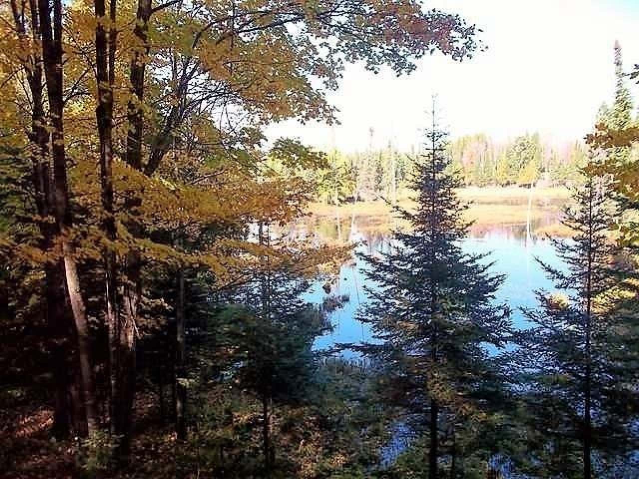 On Palmquist Road Watersmeet, MI 49969 - Photo 1 of 7 Gallery Image 1