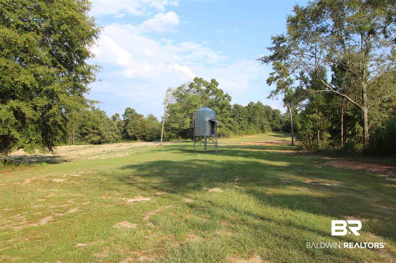 794 Dry Lake Road Luverne, AL 36049 - Photo 38 of 48 Dove Field