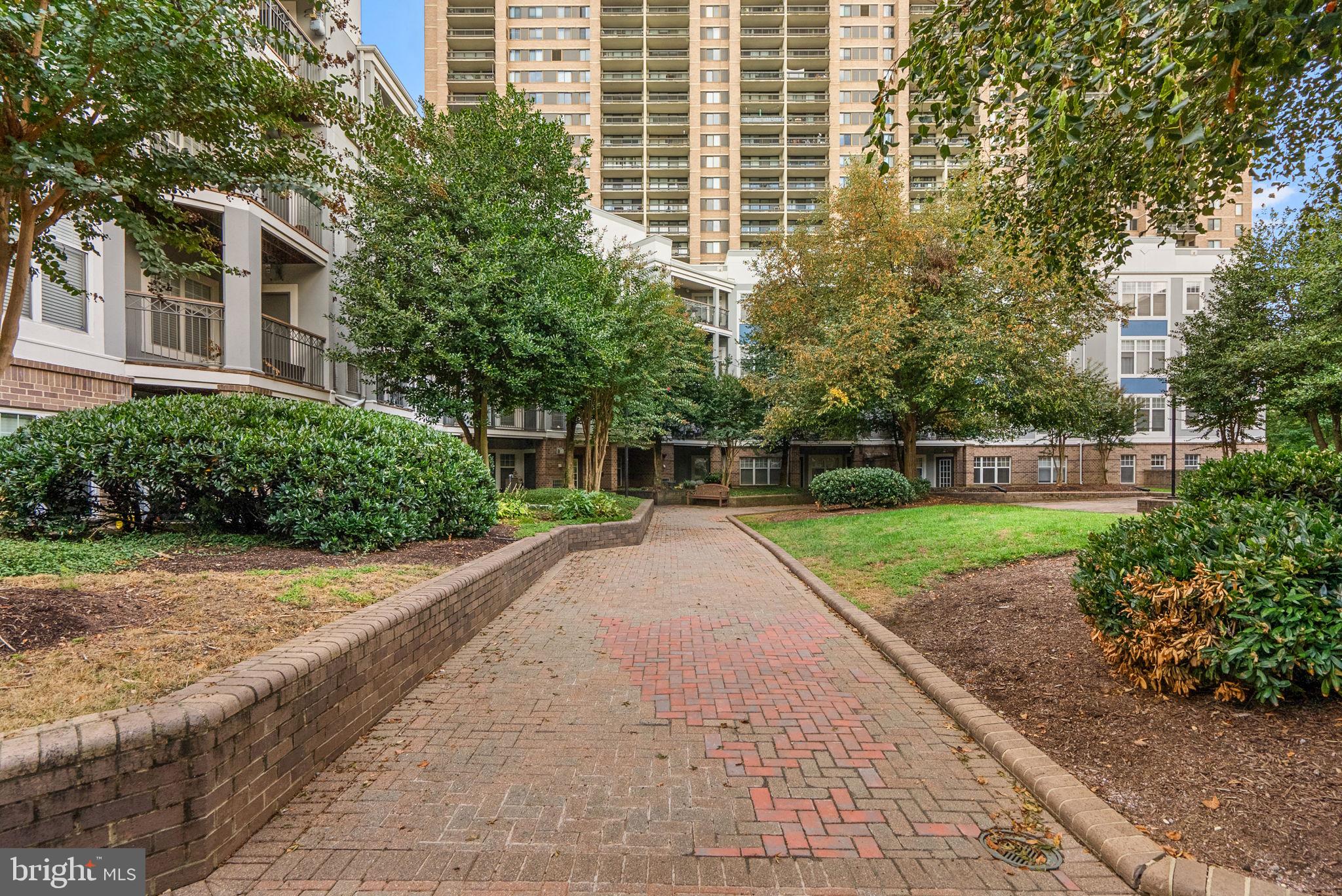 5563 Seminary Road, Unit 302 Falls Church, VA 22041 - Photo 1 of 30 a view of a garden with a pathway
