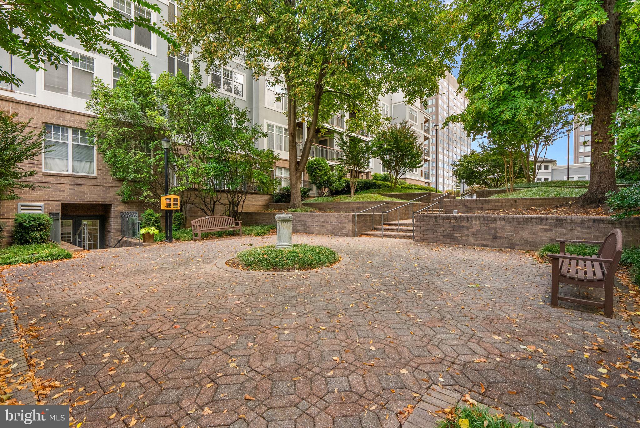 5563 Seminary Road, Unit 302 Falls Church, VA 22041 - Photo 28 of 30 a view of park with large trees