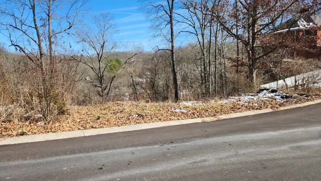 a view of a yard covered with snow in front of house