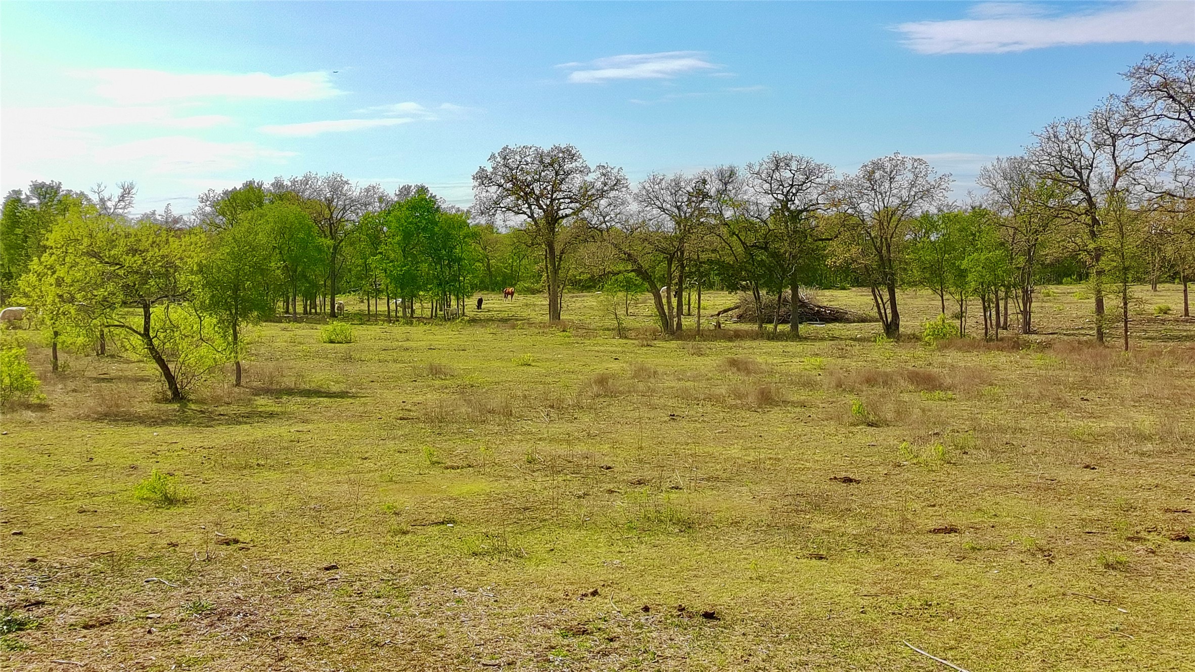 9024 Lockwood Springs Road Manor, TX 78653 - Photo 15 of 25 a swimming pool with an outdoor space and seating area