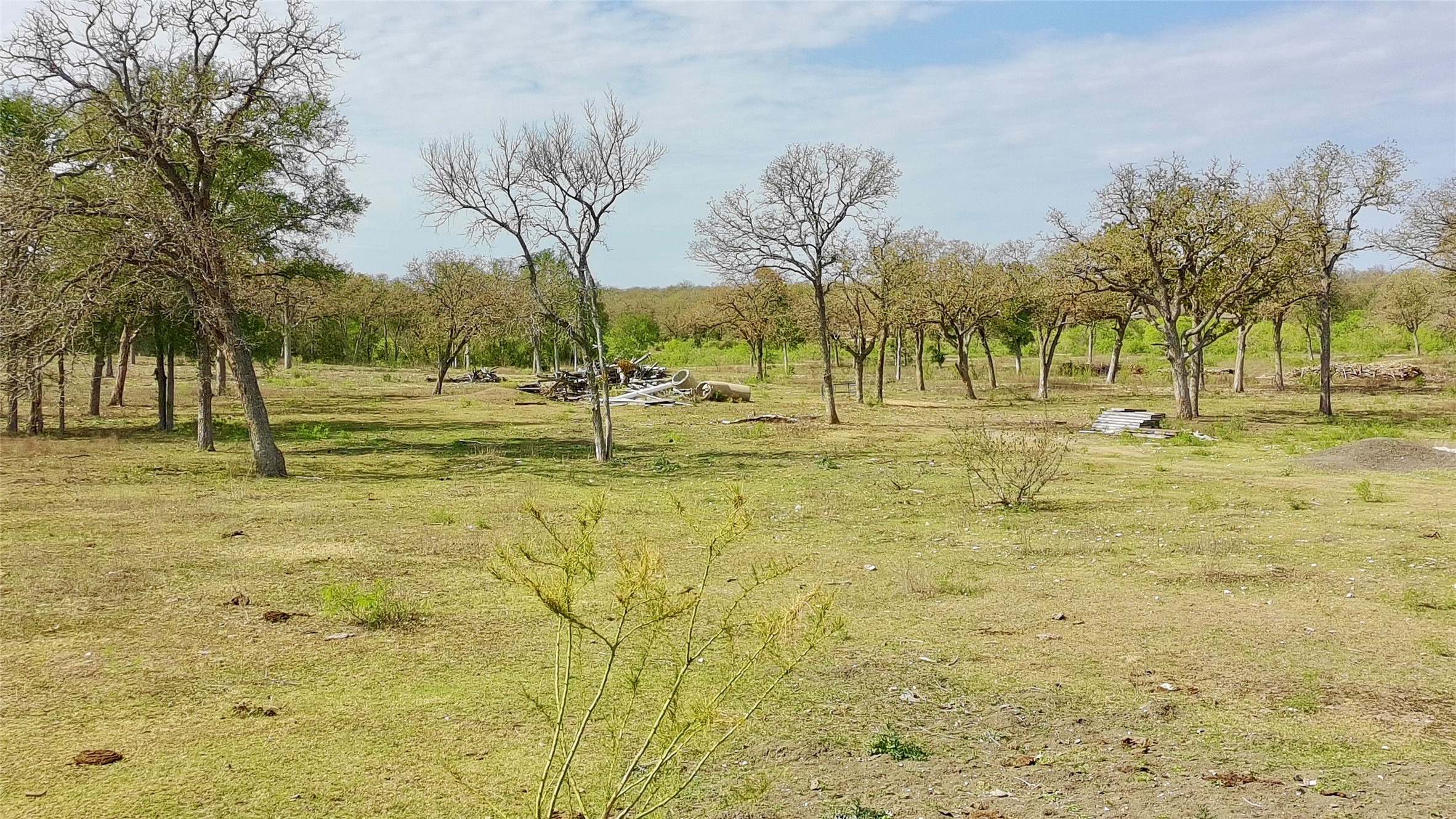 9024 Lockwood Springs Road Manor, TX 78653 - Photo 16 of 25 a view of yard with trees