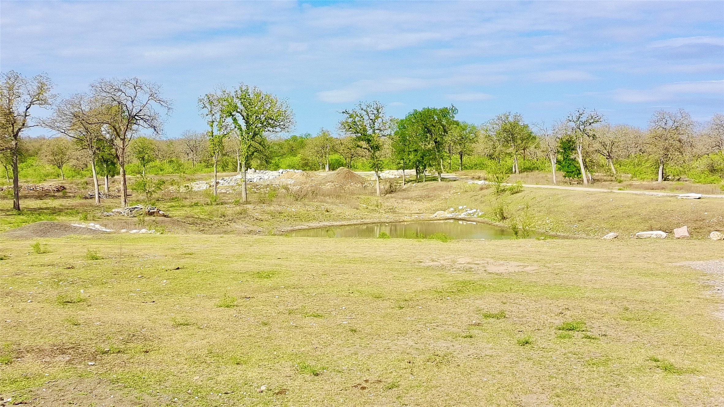 9024 Lockwood Springs Road Manor, TX 78653 - Photo 17 of 25