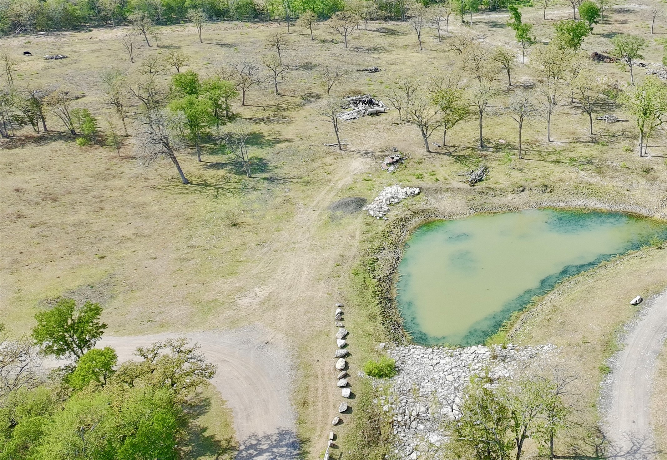 9024 Lockwood Springs Road Manor, TX 78653 - Photo 21 of 25