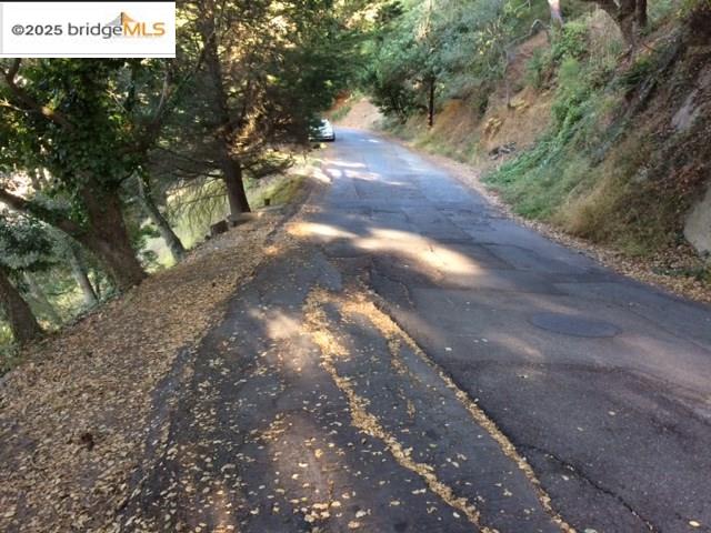 a view of a yard with a tree