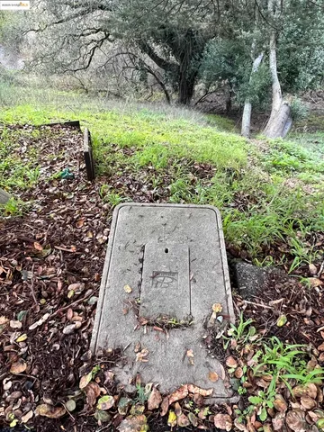 a backyard of a house with lots of trees