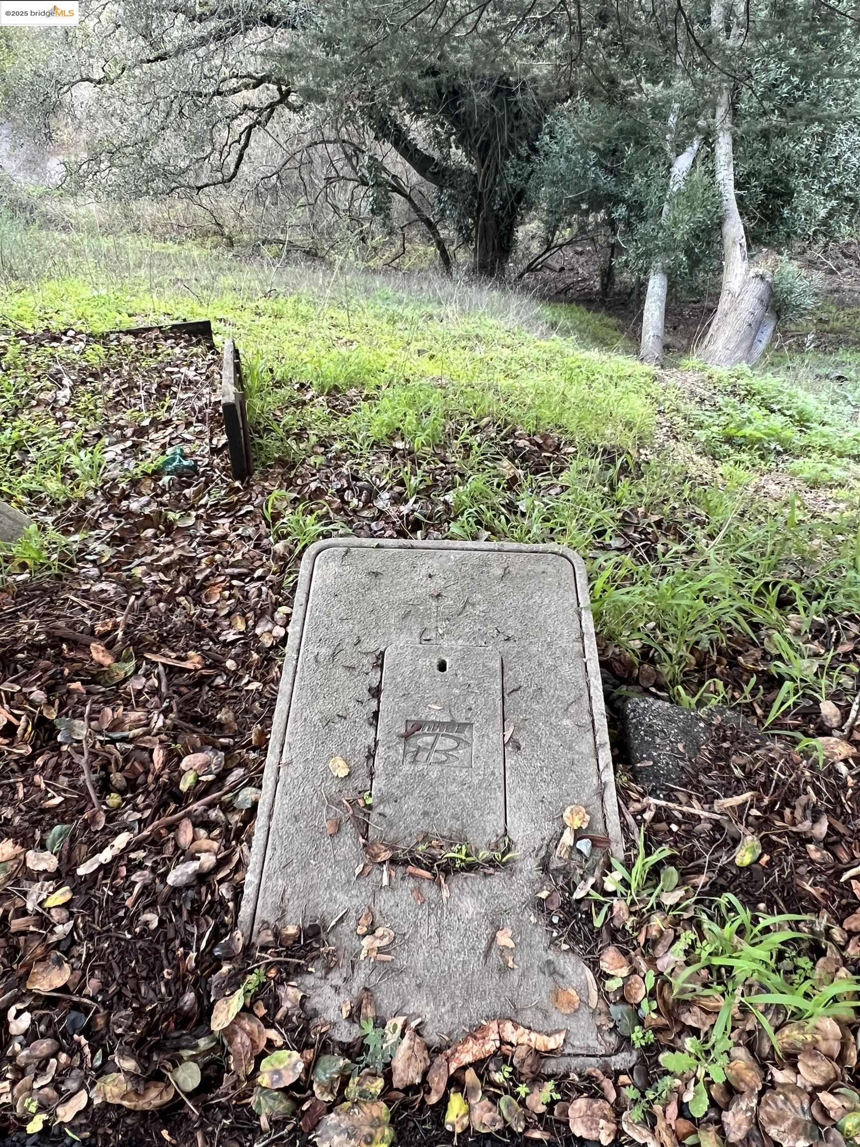 6589 Exeter Drive Oakland, CA 94611 - Photo 12 of 17 a view of outdoor space and yard