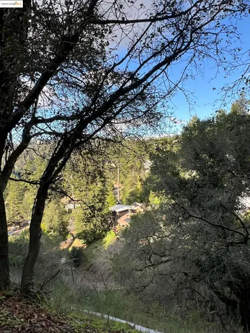a view of a yard with a tree