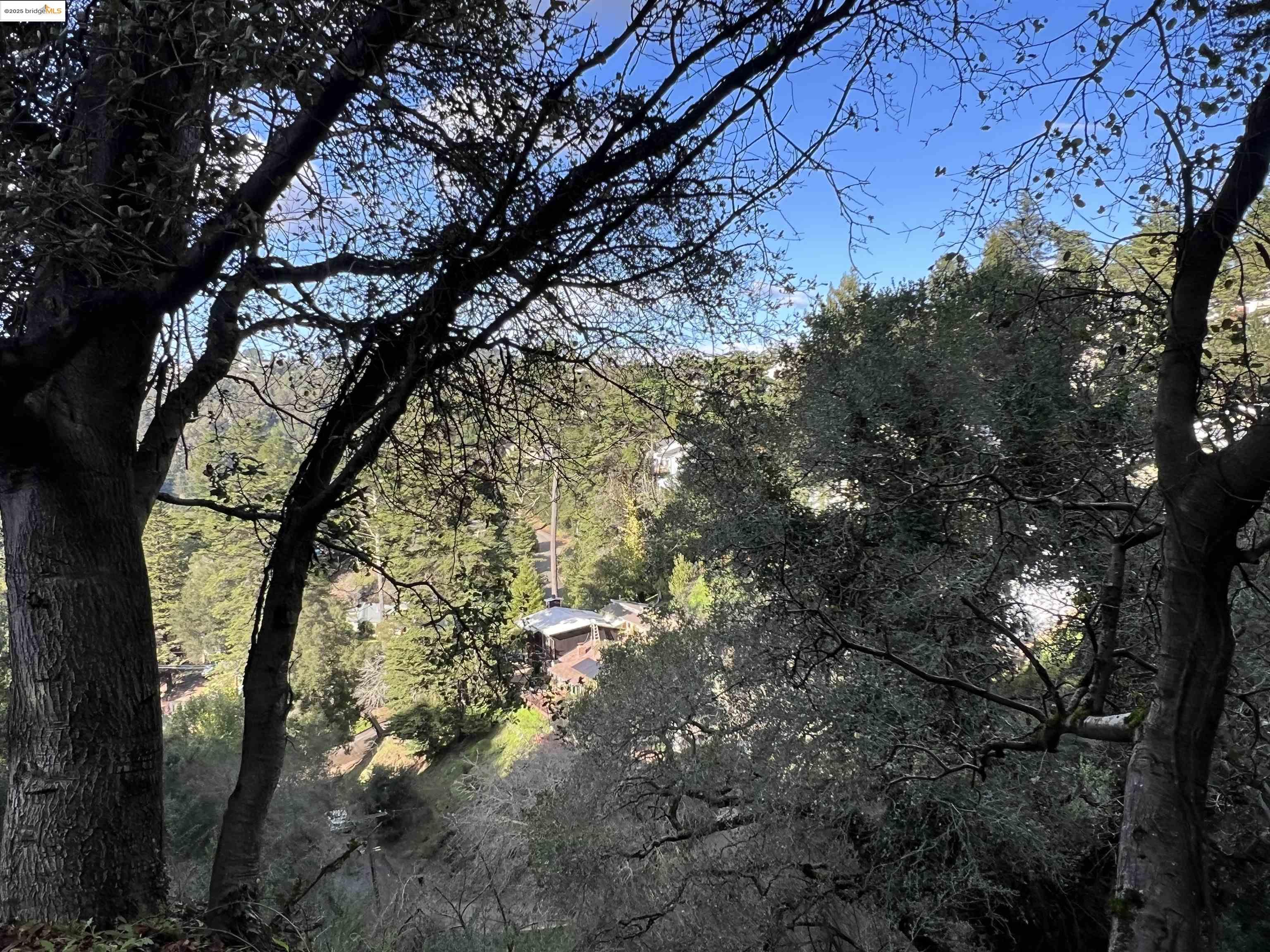6589 Exeter Drive Oakland, CA 94611 - Photo 14 of 17 a backyard of a house with lots of trees