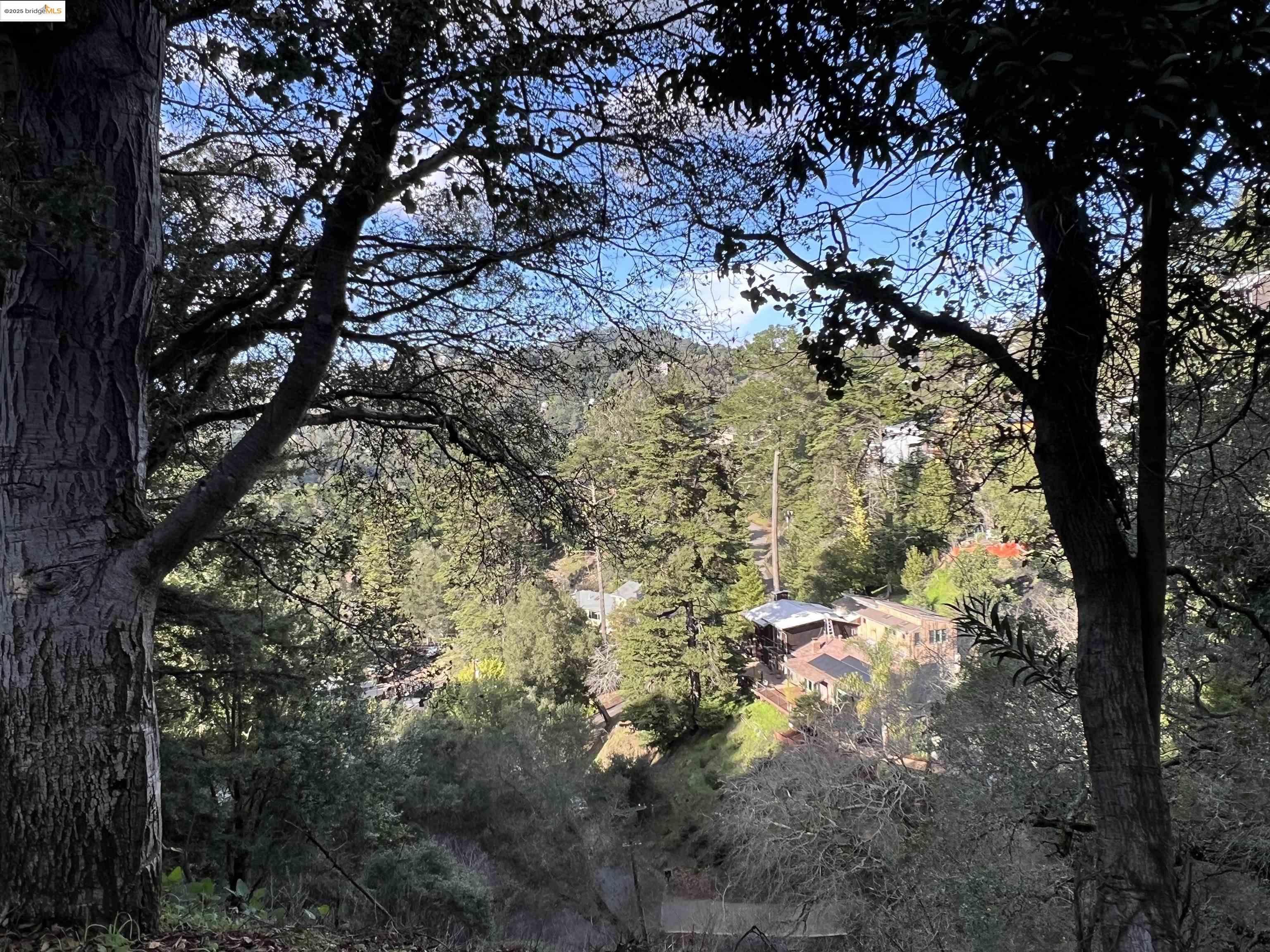 6589 Exeter Drive Oakland, CA 94611 - Photo 15 of 17 a view of a yard with a tree