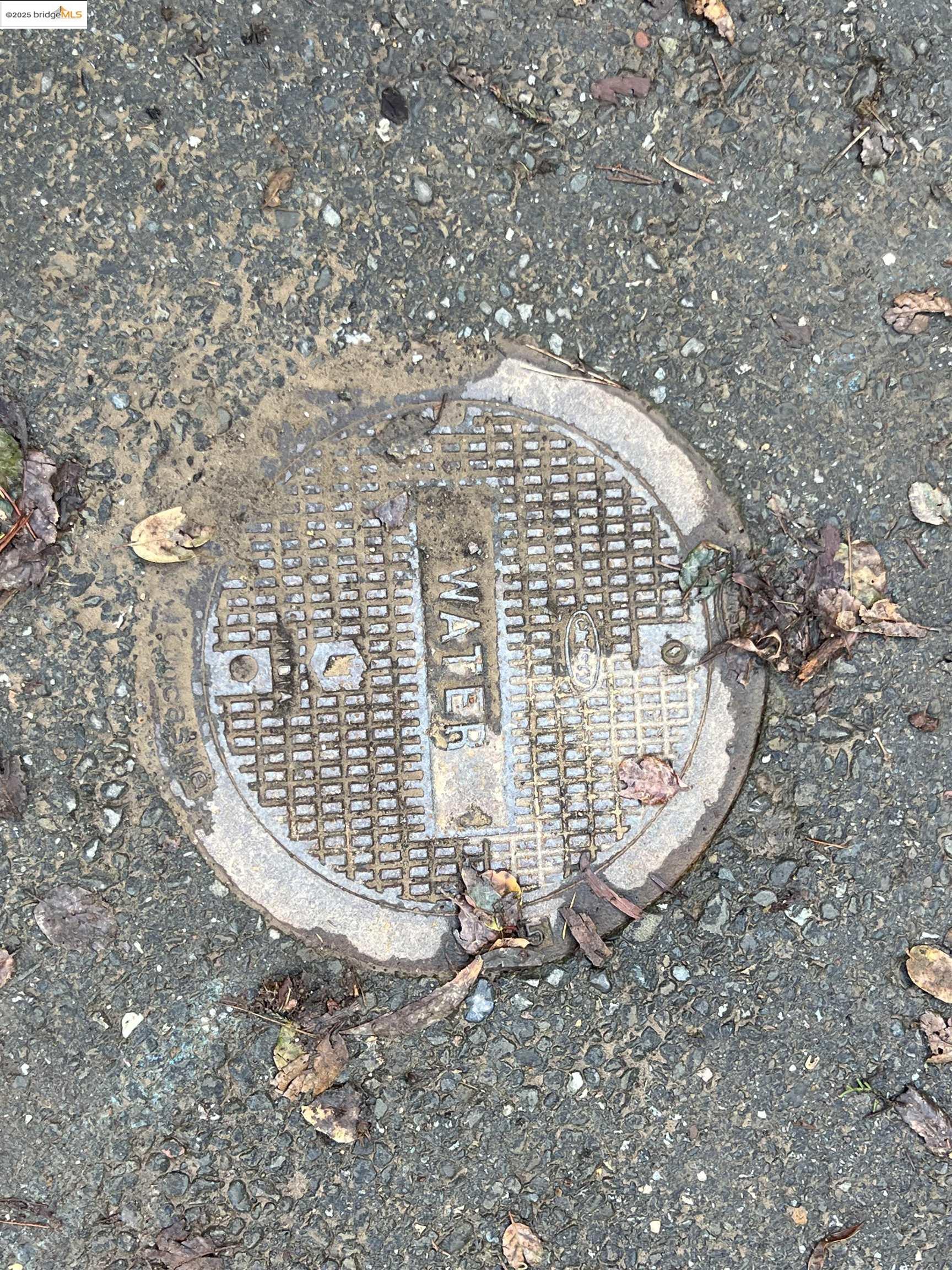 6589 Exeter Drive Oakland, CA 94611 - Photo 17 of 17 a view of wooden floor in middle of outdoor space