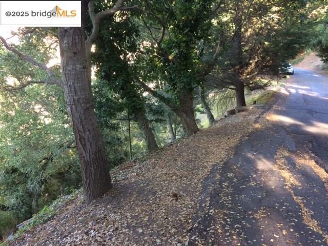 6589 Exeter Drive Oakland, CA 94611 - Photo 2 of 17 a view of a forest with trees