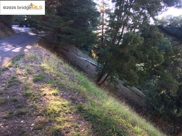 6589 Exeter Drive Oakland, CA 94611 - Photo 4 of 17 a view of a forest with trees in the background