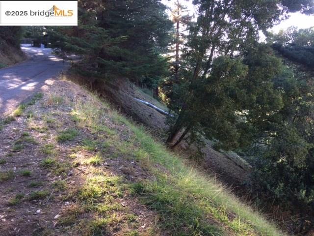 6589 Exeter Drive Oakland, CA 94611 - Photo 5 of 17 a view of a dry yard with lots of trees