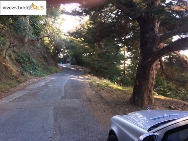 6589 Exeter Drive Oakland, CA 94611 - Photo 6 of 17 a view of a yard with an outdoor space