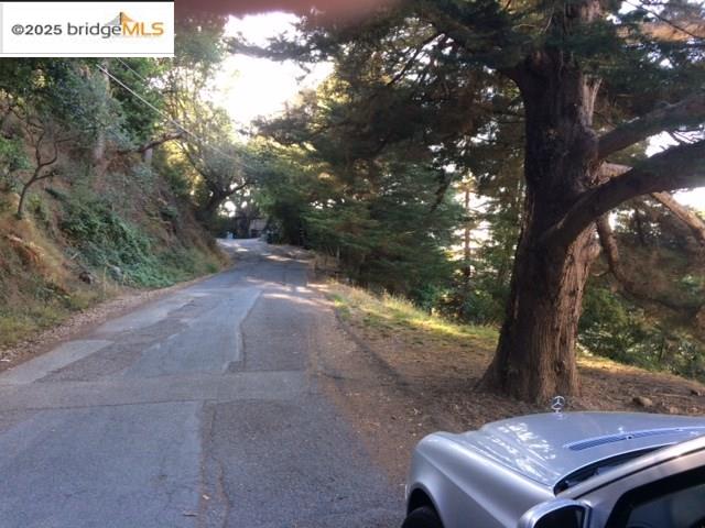 6589 Exeter Drive Oakland, CA 94611 - Photo 7 of 17 a view of a yard with an outdoor space