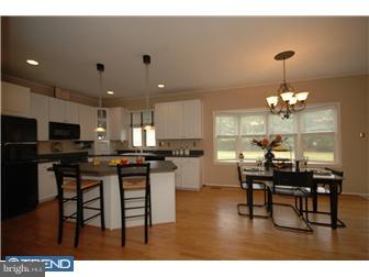 5 Towpath Way New Hope, PA 18938 - Photo 6 of 12 Kitchen