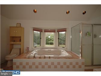 5 Towpath Way New Hope, PA 18938 - Photo 9 of 12 Bathroom